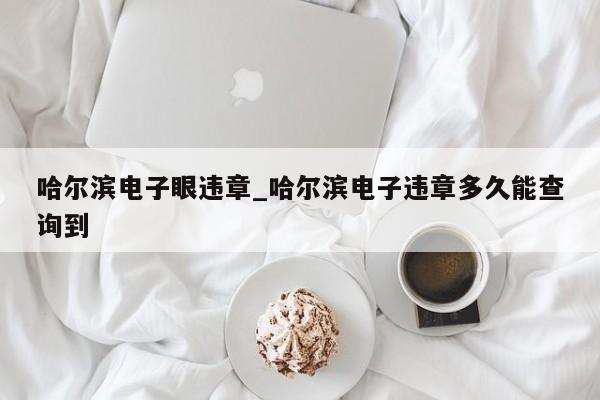 哈尔滨电子眼违章_哈尔滨电子违章多久能查询到