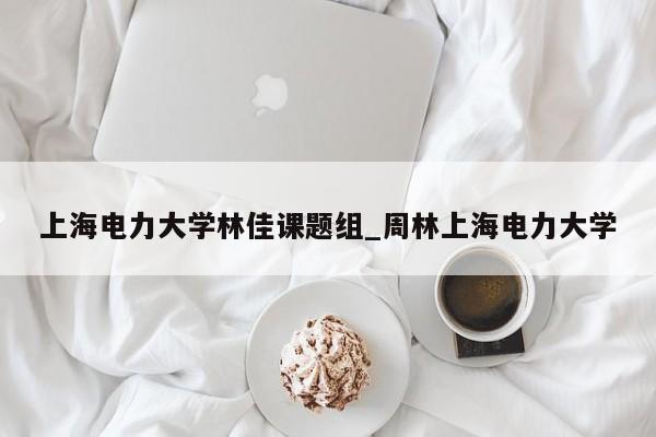 上海电力大学林佳课题组_周林上海电力大学